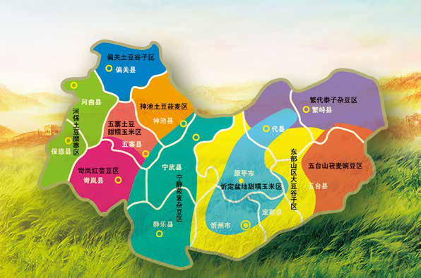 九游体育入口-关于构建新型足球产业生态链，行业链条日益完善的信息