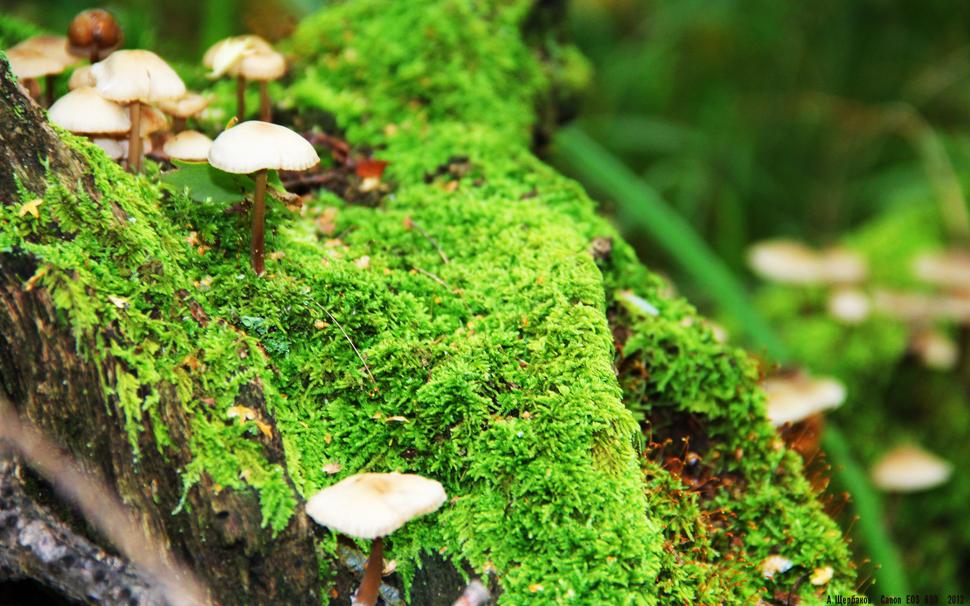 九游-切尔西女足参加慈善比赛公益活动,切尔西女足夺冠