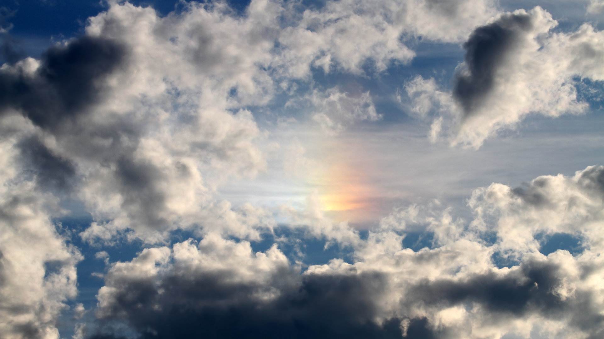 详细阅读:九游体育网页入口-塞内加尔主帅:我们的足球没有季节限制,塞内加尔足球队阵容 九游体育网页入口-塞内加尔主帅:我们的足球没有季节限制,塞内加尔足球队阵容