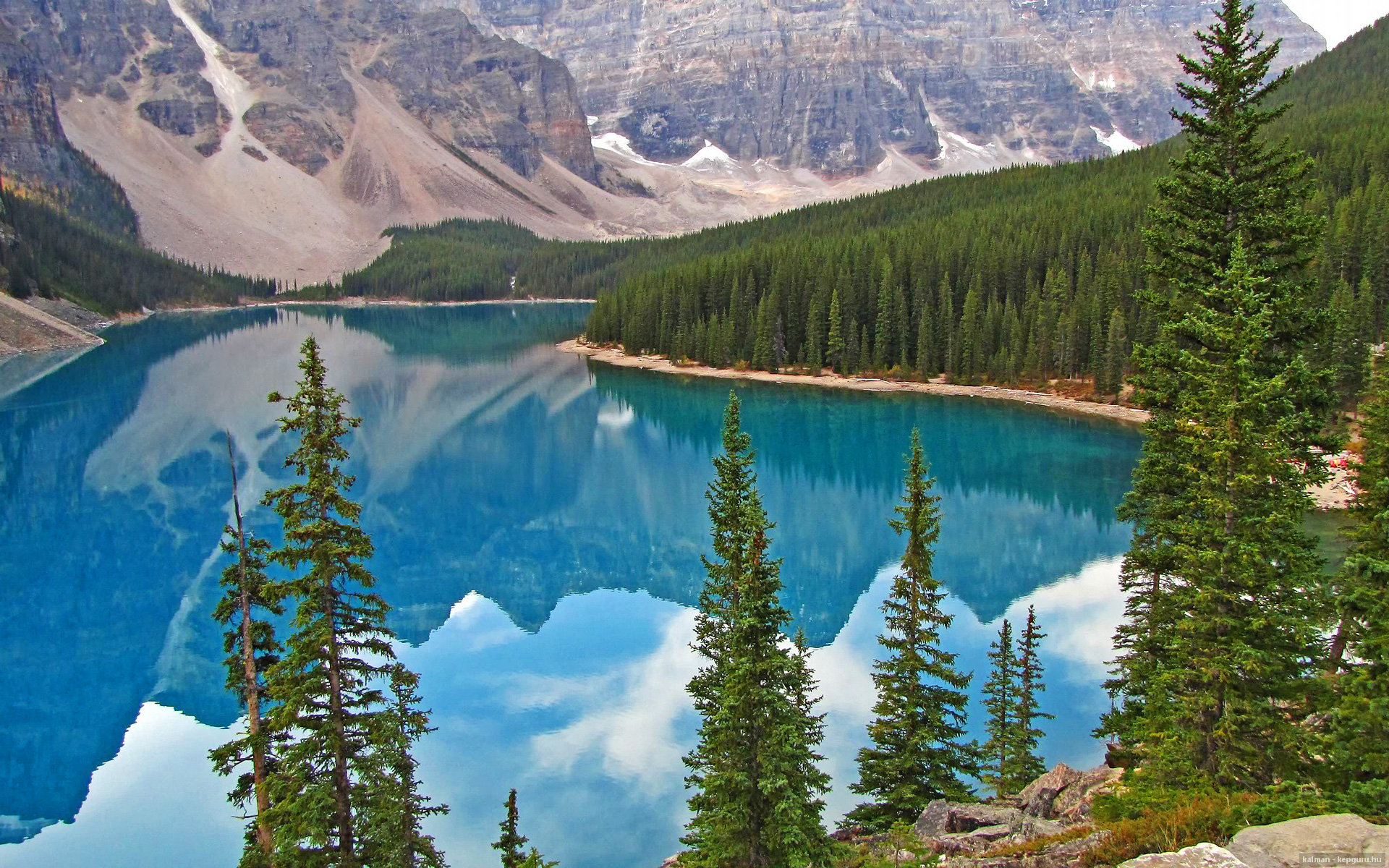 九游下载-意大利队表现亮眼，期待更多精彩表现，意大利队 大名单