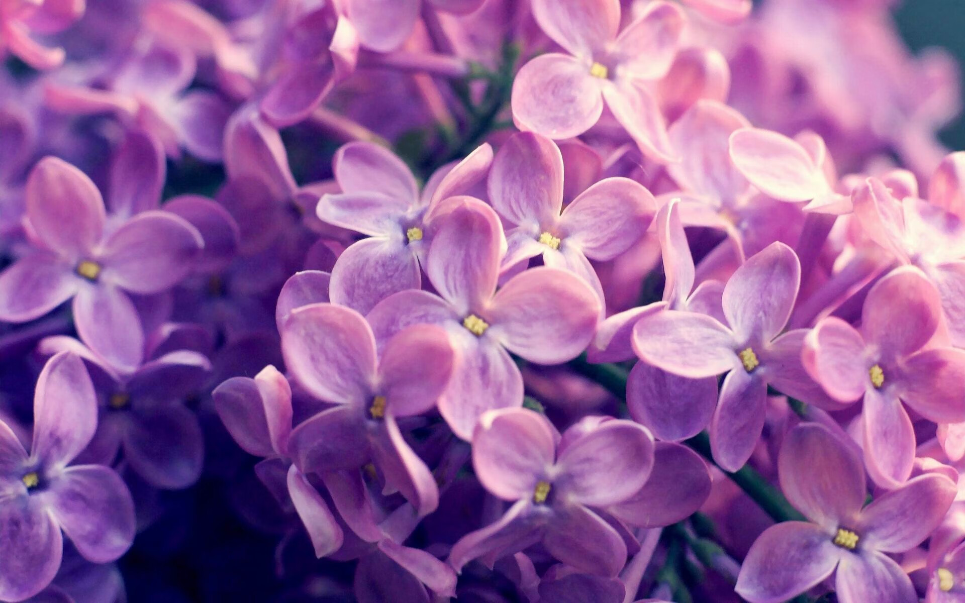 九游体育登录入口-电竞赛事运营中的观众互动创新案例，电竞赛事运营中的观众互动创新案例分析