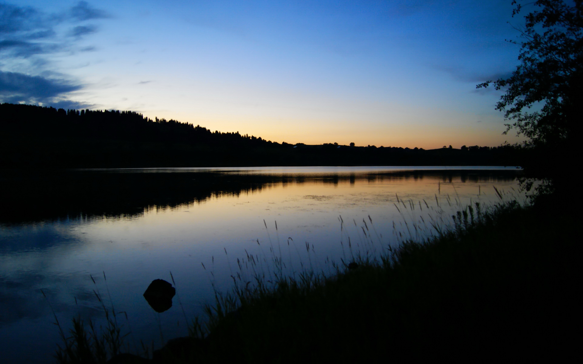 九游体育下载-纽卡斯尔联客场0-1惜败阿森纳,防守端表现稳健,纽卡斯尔联队