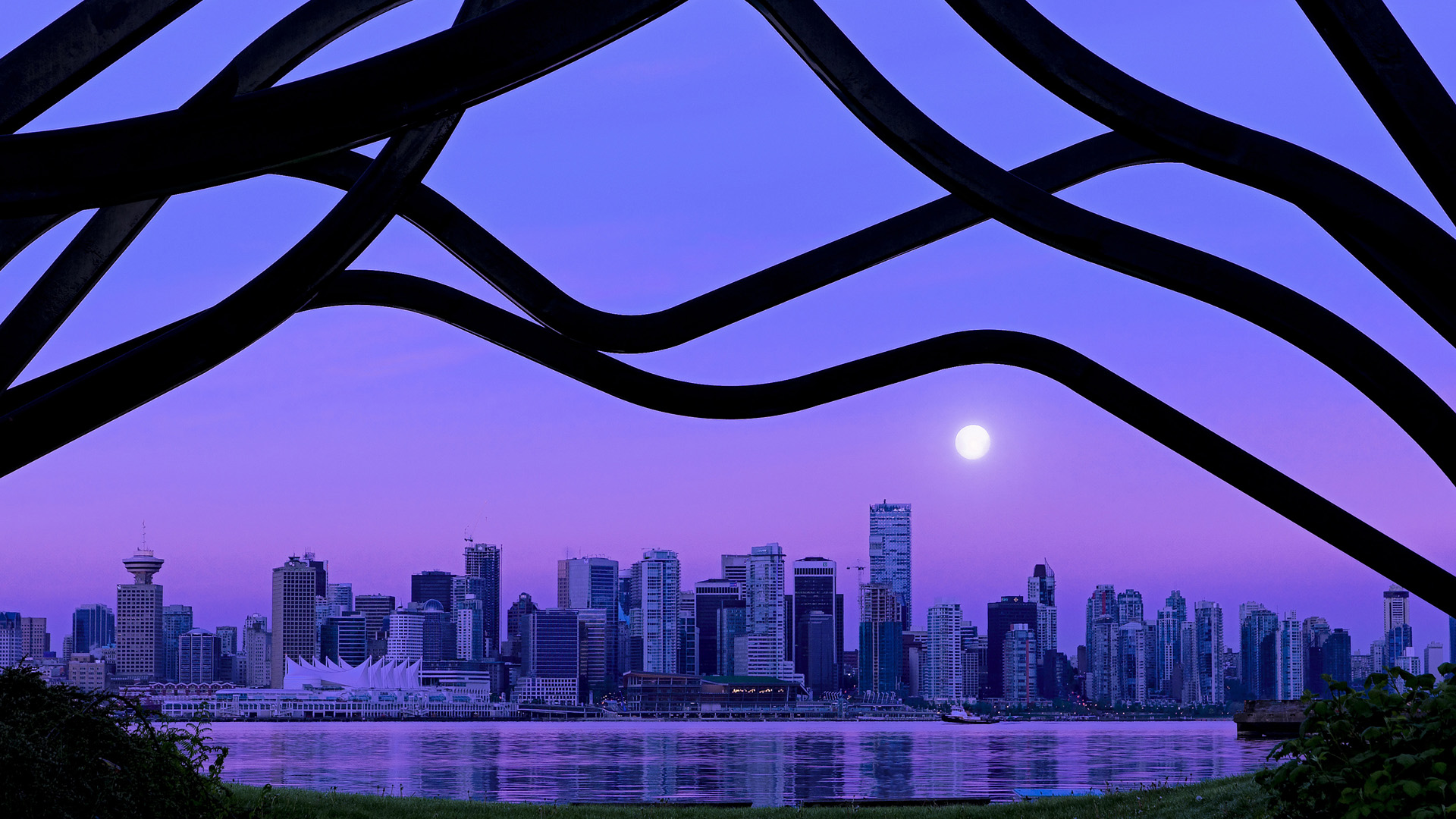 -中国射击队老将复出再战奥运积分,中国射击队获得多少奥运金牌