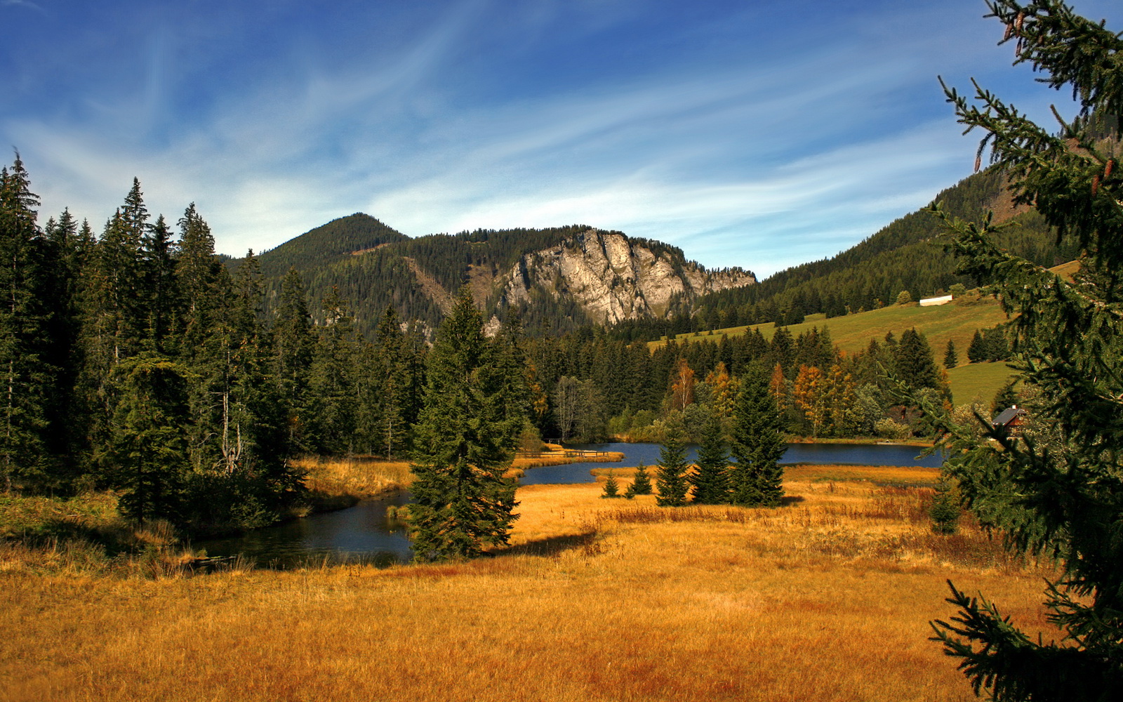 九游娱乐app下载-五大联赛快节奏压迫型比赛是否更受年轻球员欢迎，节奏最快的联赛