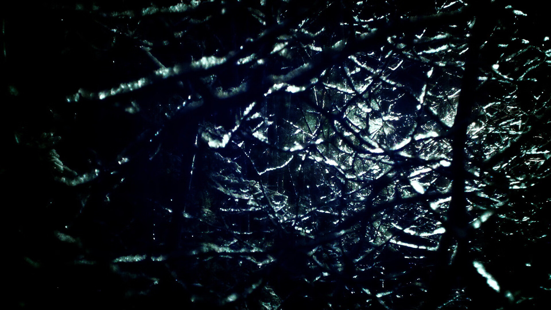 九游娱乐网页版-张雨霏完成世锦赛报名全力以赴,张雨霏夺冠项目