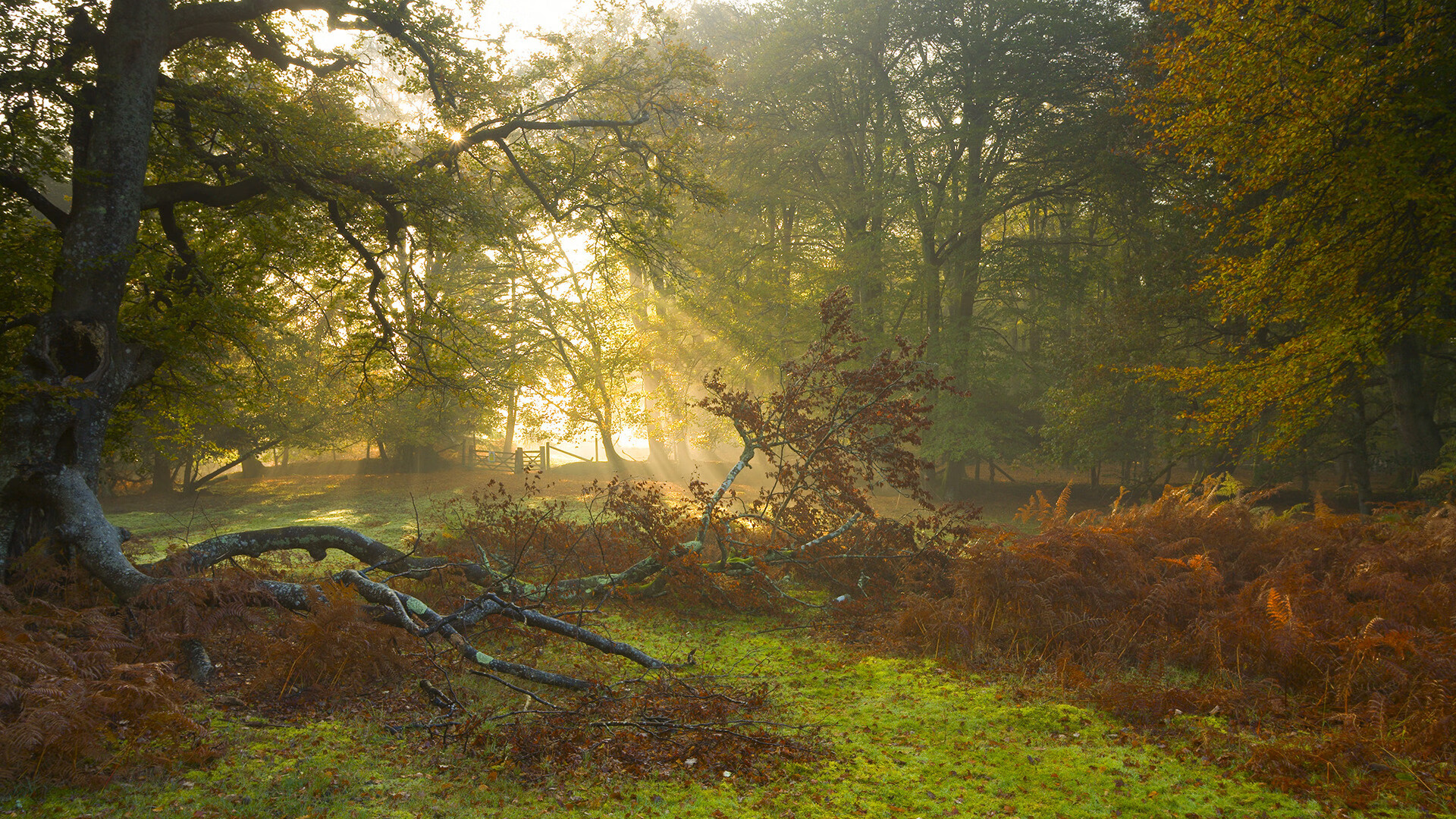 九游会-足球训练中心引入虚拟现实辅助教学,足球训练室